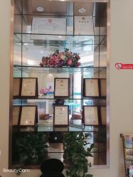 -碧莲盛·不剃发植发