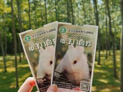 -秦皇岛野生动物园
