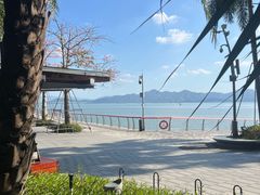 -ommo cafe(半岛城邦店)