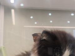 -观音桥步行街