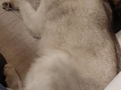 -小时光咖啡馆(北锣鼓巷店)