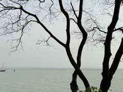 -贡湖湾湿地公园