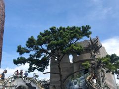 -疯狂屋