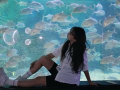 -烟台海昌鲸鲨海洋公园