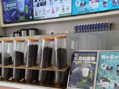 -雾与山茶(大禹城店)
