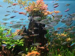 -太平洋海底世界