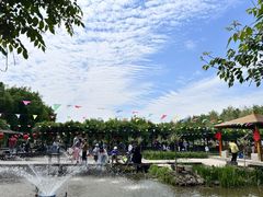 -同銮特种养殖场·龙虾垂钓