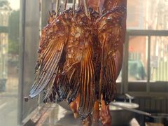 -港升鱼师傅·中山脆肉鲩