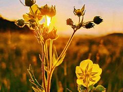 -萍乡武功山风景名胜区