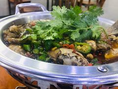 -全乐鱼馆·淳牌有机鱼直营店