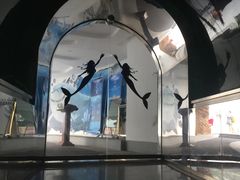 -瑞德姆美人鱼海底演艺主题餐厅(亚龙湾店)