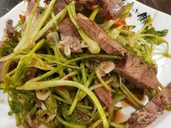 香菜根拌牛肉-燕青小馆(东园大厦店)
