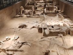 -洛阳周王城天子驾六博物馆