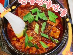 -陈麻婆豆腐(旗舰店)