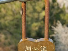 -定都阁