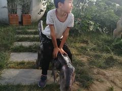 -呀路古热带植物园