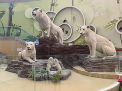 -陕西自然博物馆