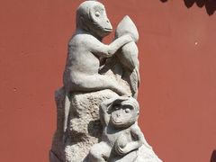 android_upload_pic-周园