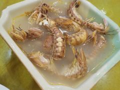 -鸿达渔港
