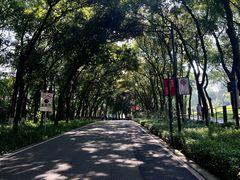 -广州市白云山风景名胜区