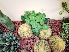 -villaa·别墅·融合菜西餐厅