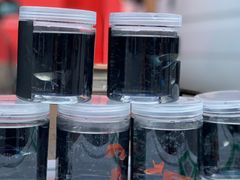 -华声天桥民俗文化园