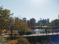 -四海公园(南山区)