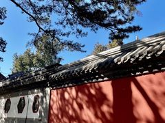 -颐和园