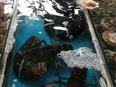 -石塘路海鲜市场(草厂中路店)