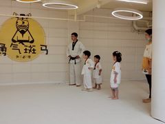 -勇气斑马·巴西柔术&跆拳道(浦东三林店)