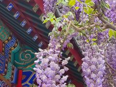 -红螺寺