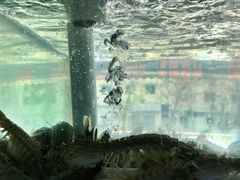 -海之鲜大排档(东山海鲜金銮湾店)