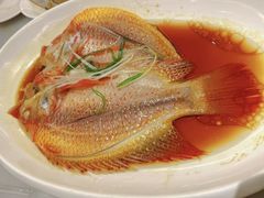 -华盛丰温州大排档(东三环南路店)