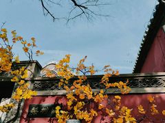 -潭柘寺景区