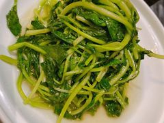 清炒鸡毛菜-西安饭庄·非遗陕菜(钟楼店)