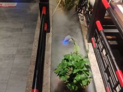 -红蜡烛•瓦罐粥家常菜•夜宵(中山路店)