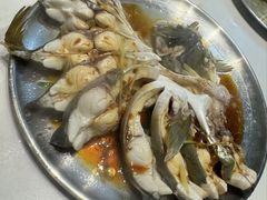 -天鹰观渔(梦园店)