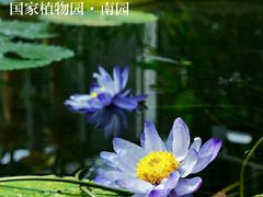 -国家植物园南园
