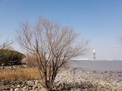 -上海吴淞炮台湾国家湿地公园