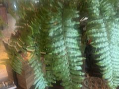 -BUND·FIVE外滩5号(天际店)