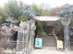 -王顺山国家森林公园