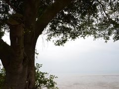 -大嶝英雄三岛战地观光园