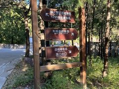 -北京十三陵国家森林公园蟒山景区