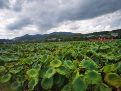 -古田会议纪念馆