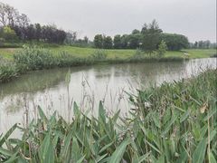 -两河城市森林公园