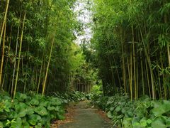 -同里国家湿地公园