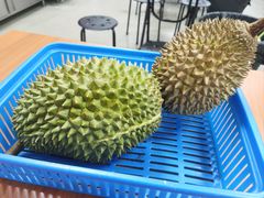 -空军山芭榴莲