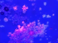 -海合安武汉极地海洋公园
