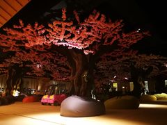 -蓝鲸湾汤泉(包河店)