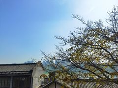 -大渡口区义渡公园